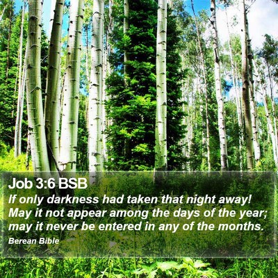 Job 3:6 BSB Bible Verse Image