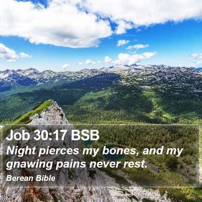 Job 30:17 BSB Bible Verse Image