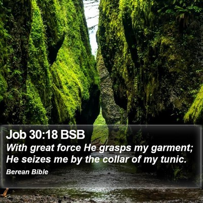 Job 30:18 BSB Bible Verse Image