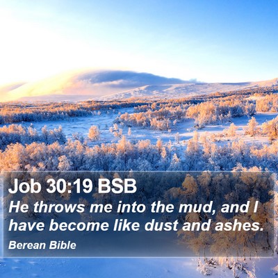 Job 30:19 BSB Bible Verse Image