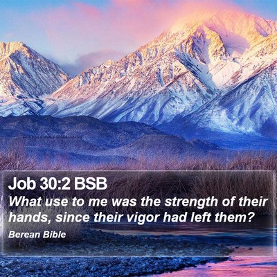 Job 30:2 BSB Bible Verse Image