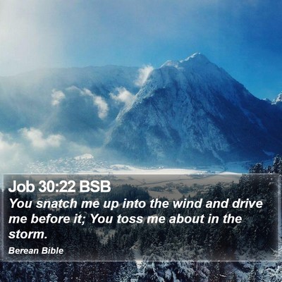 Job 30:22 BSB Bible Verse Image