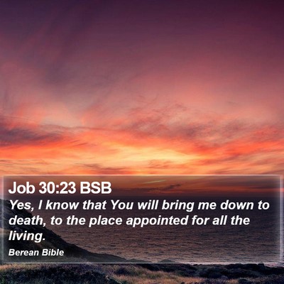 Job 30:23 BSB Bible Verse Image