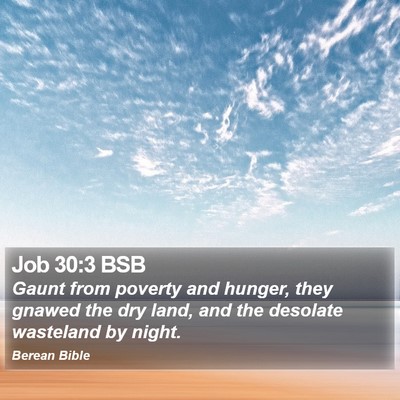 Job 30:3 BSB Bible Verse Image