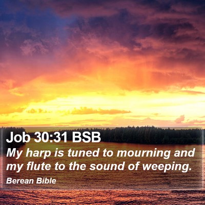 Job 30:31 BSB Bible Verse Image