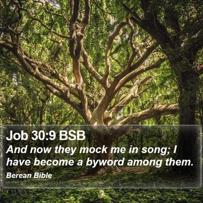 Job 30:9 BSB Bible Verse Image