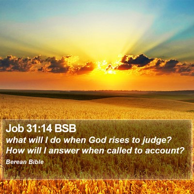 Job 31:14 BSB Bible Verse Image
