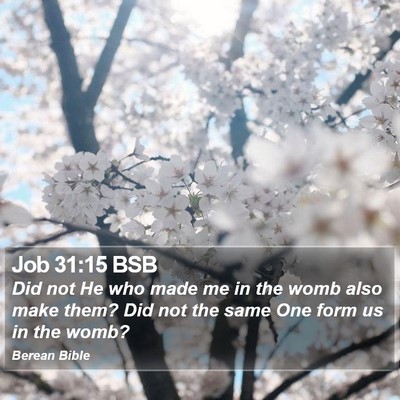 Job 31:15 BSB Bible Verse Image