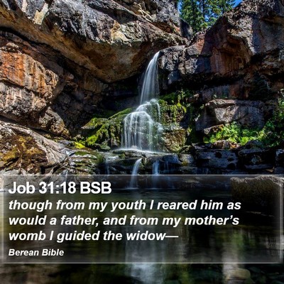 Job 31:18 BSB Bible Verse Image