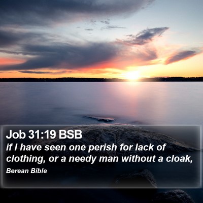 Job 31:19 BSB Bible Verse Image