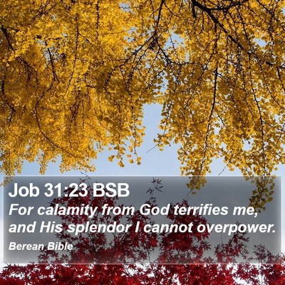 Job 31:23 BSB Bible Verse Image