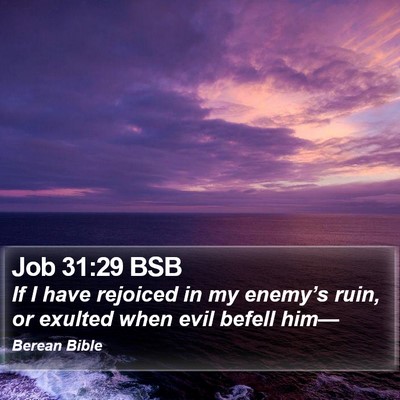 Job 31:29 BSB Bible Verse Image