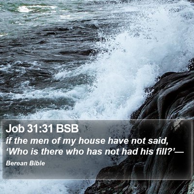 Job 31:31 BSB Bible Verse Image