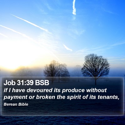 Job 31:39 BSB Bible Verse Image