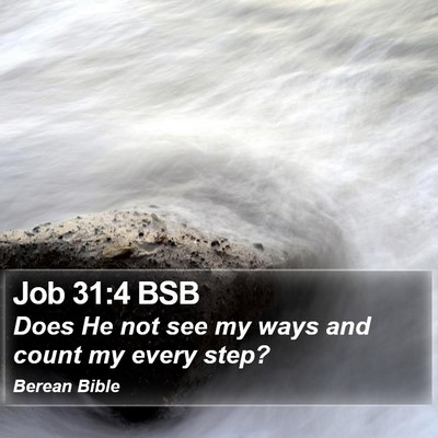 Job 31:4 BSB Bible Verse Image
