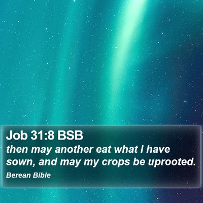 Job 31:8 BSB Bible Verse Image