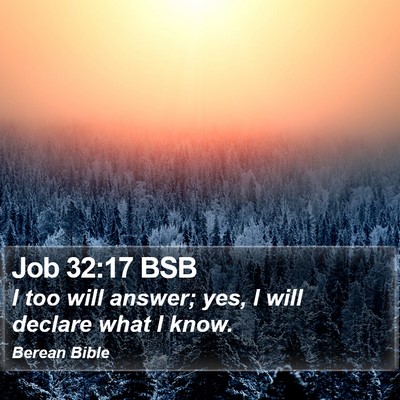Job 32:17 BSB Bible Verse Image