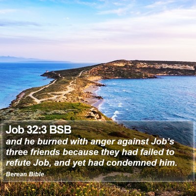 Job 32:3 BSB Bible Verse Image