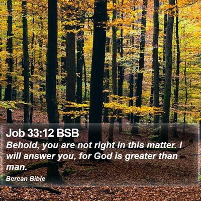 Job 33:12 BSB Bible Verse Image