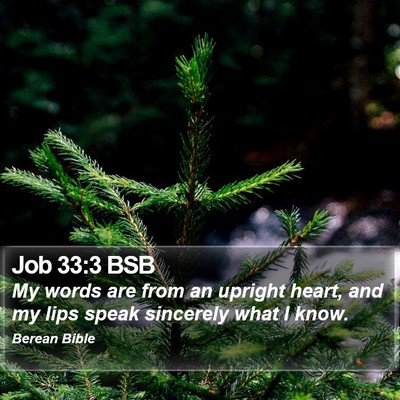 Job 33:3 BSB Bible Verse Image