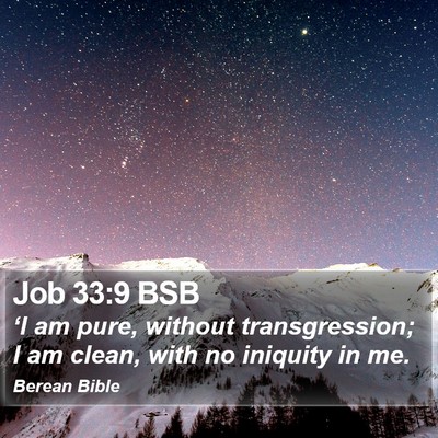 Job 33:9 BSB Bible Verse Image