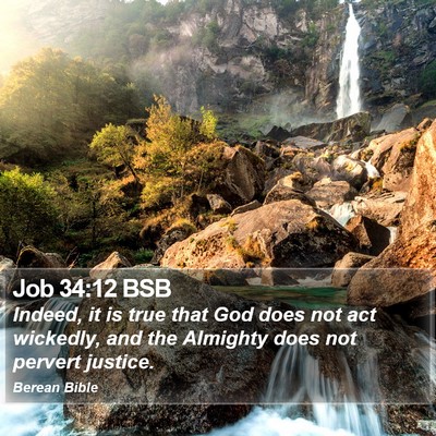 Job 34:12 BSB Bible Verse Image