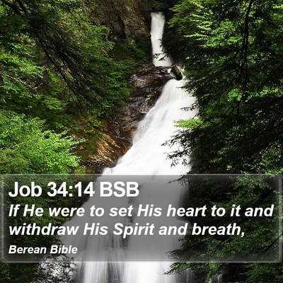 Job 34:14 BSB Bible Verse Image