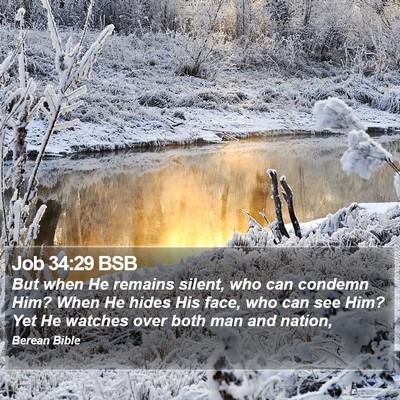 Job 34:29 BSB Bible Verse Image