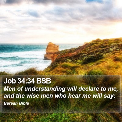 Job 34:34 BSB Bible Verse Image