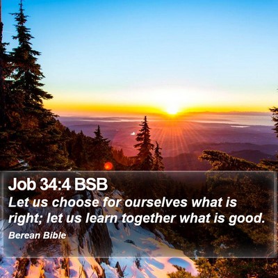 Job 34:4 BSB Bible Verse Image