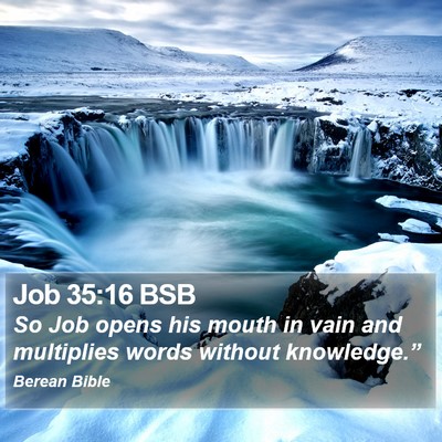 Job 35:16 BSB Bible Verse Image