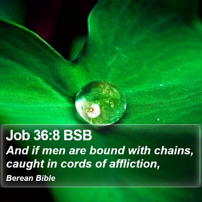 Job 36:8 BSB Bible Verse Image