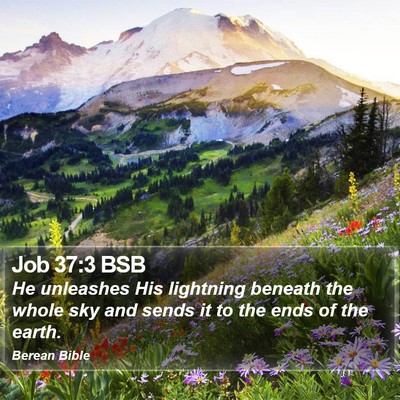 Job 37:3 BSB Bible Verse Image