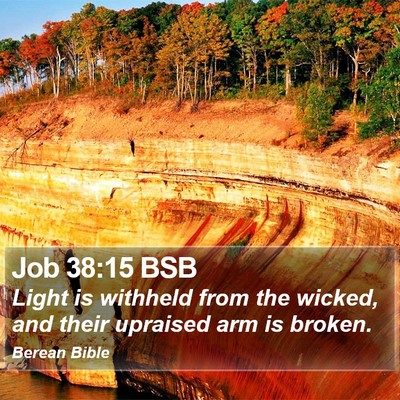 Job 38:15 BSB Bible Verse Image