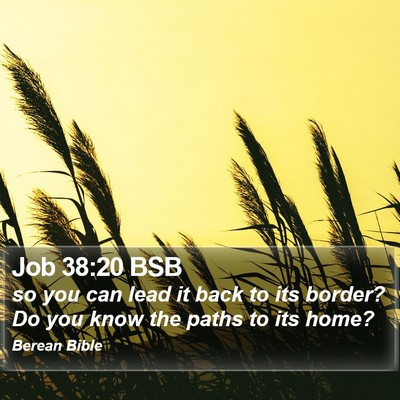 Job 38:20 BSB Bible Verse Image