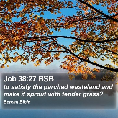 Job 38:27 BSB Bible Verse Image