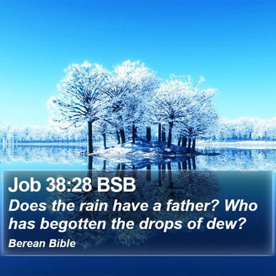 Job 38:28 BSB Bible Verse Image