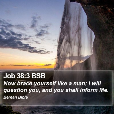Job 38:3 BSB Bible Verse Image