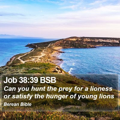 Job 38:39 BSB Bible Verse Image