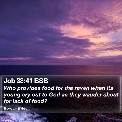 Job 38:41 BSB Bible Verse Image
