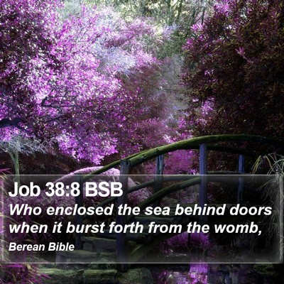 Job 38:8 BSB Bible Verse Image