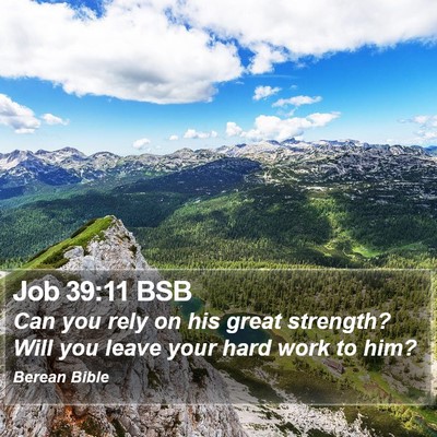 Job 39:11 BSB Bible Verse Image