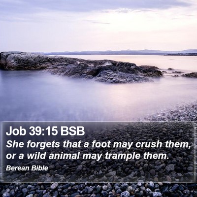 Job 39:15 BSB Bible Verse Image