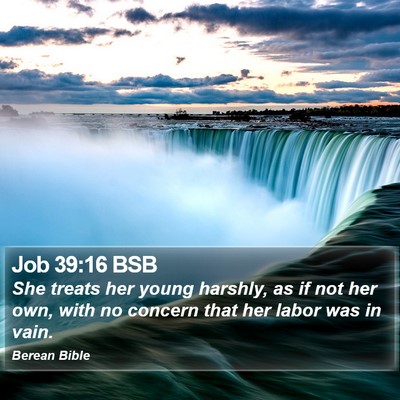 Job 39:16 BSB Bible Verse Image