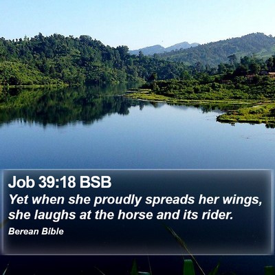 Job 39:18 BSB Bible Verse Image