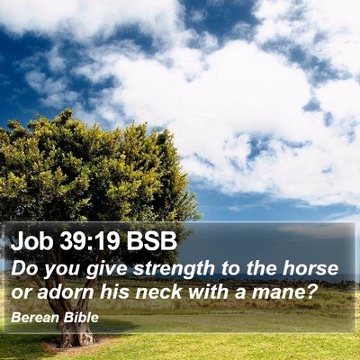 Job 39:19 BSB Bible Verse Image