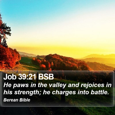 Job 39:21 BSB Bible Verse Image
