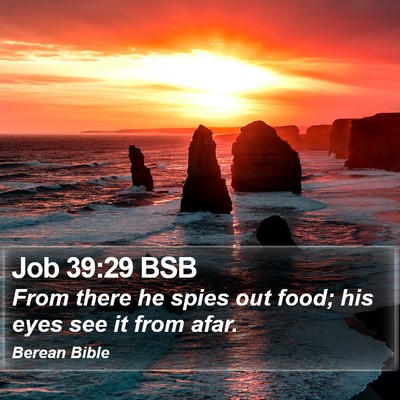 Job 39:29 BSB Bible Verse Image