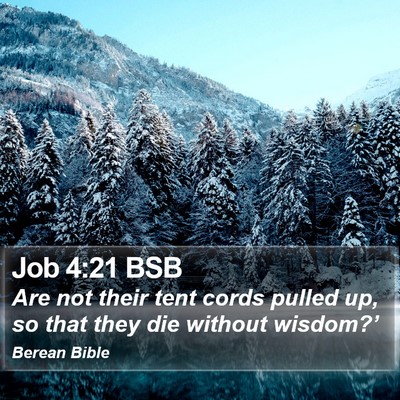 Job 4:21 BSB Bible Verse Image
