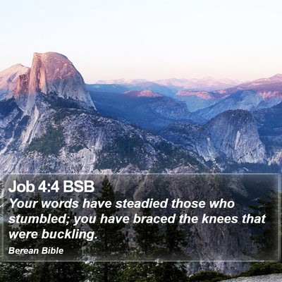 Job 4:4 BSB Bible Verse Image